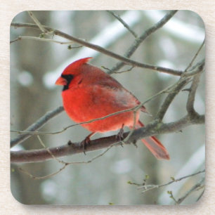 Porta copos Cardinal de inverno Cheery