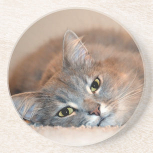 Porta-copos Cat Russo Azul de Cabelo Longo por Shirley Taylor