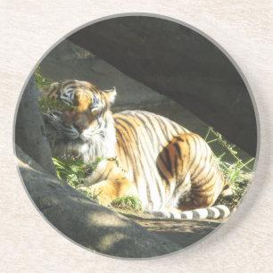 Porta-copos Catnap do tigre