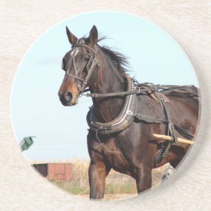 Porta-copos Cavalo de Amish Rural e Buggy