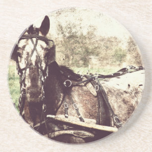 Porta-copos Cavalo do Appaloosa