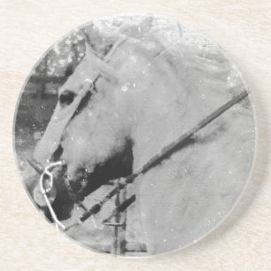 Porta-copos Cavalo em preto e branco
