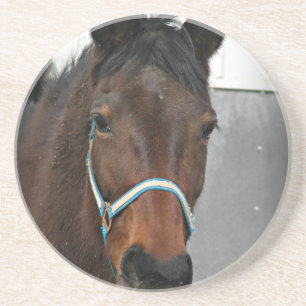 Porta-copos cavalo feliz