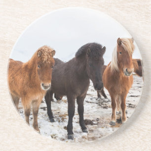 Porta-copos Cavalo islandês durante o inverno na Islândia