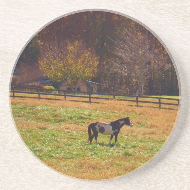 Porta-copos Cavalo Pintado à Distância (Frente)