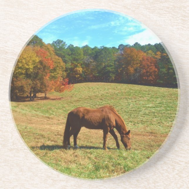 Porta-copos Cavalo Vermelho Castanho, céu azul Teal (Frente)