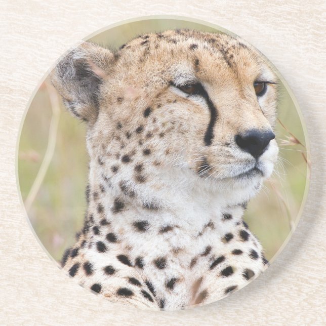 Porta-copos Cheetah (Frente)