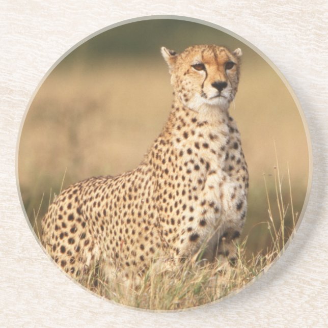Porta-copos Cheetah no pequeno monte para melhor visibilidade (Frente)