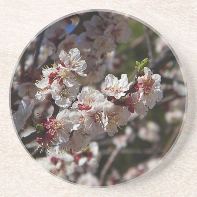 Porta-copos Cherry Blossoms (Frente)