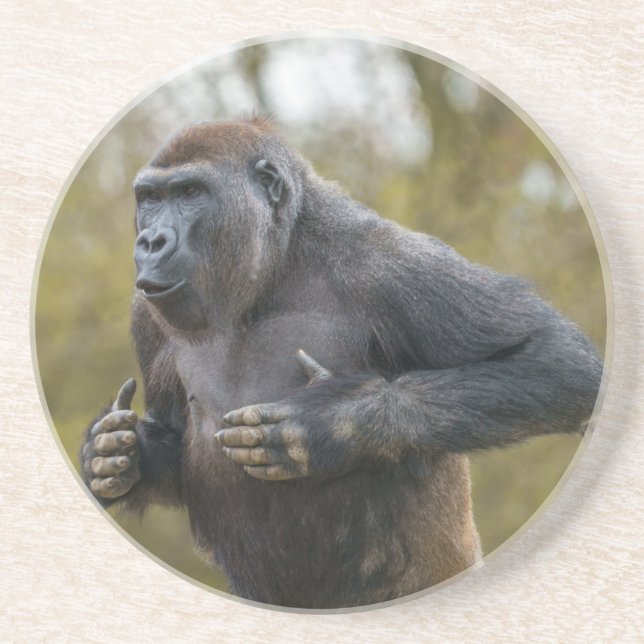 Porta-copos Chest Beating Gorilla (Frente)