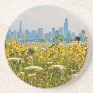 Porta-copos Chicago como visto do pássaro do porto de Montros