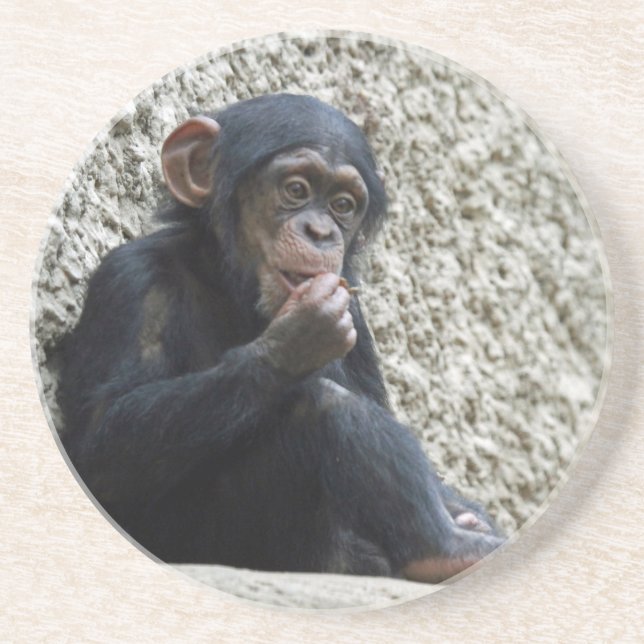 Porta-copos Chimpanzé 013 (Frente)