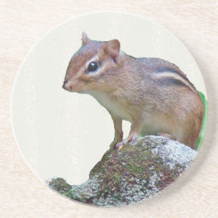 Porta-copos Chipmunk Oriental no Rock