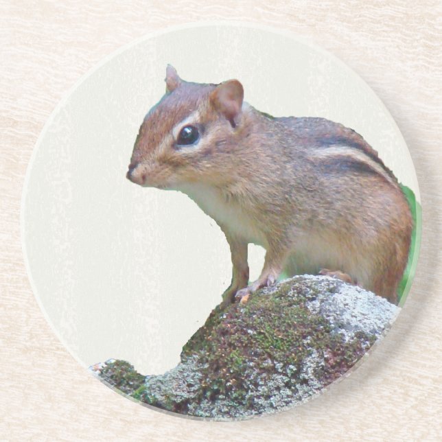 Porta-copos Chipmunk Oriental no Rock (Frente)