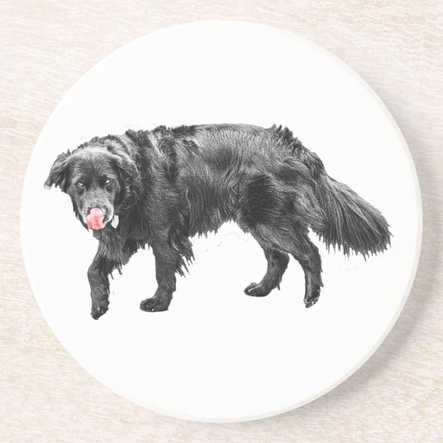 Porta-copos Cinnamon Steam, Scarlet Lick (Frente)