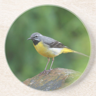 Porta-copos Cinza Wagtail - pássaro