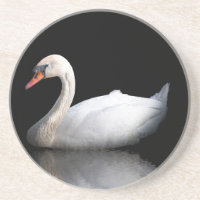 Cisne branco sobre preto