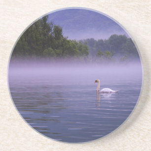 Porta-copos Cisne no lago