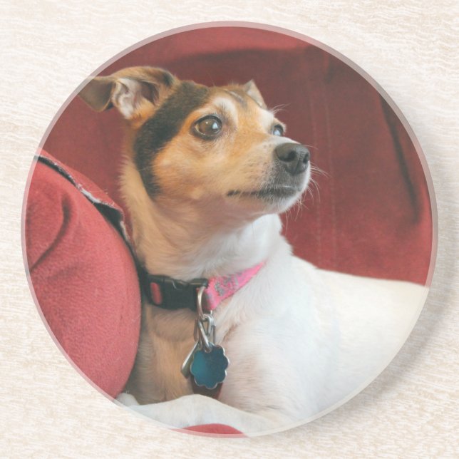 Porta-copos Clássico (Frente)