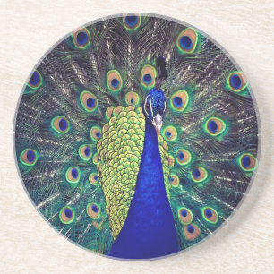 Porta-copos Cobalto Blue Peacock