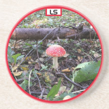 Cogumelo nos bosques LS Sandstone Coaster