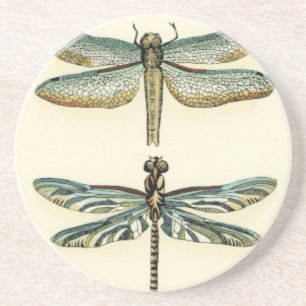 Porta-copos Coleção de Dragonfly por Chariklia Zarris
