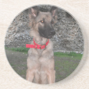 Porta copos com German shepherd