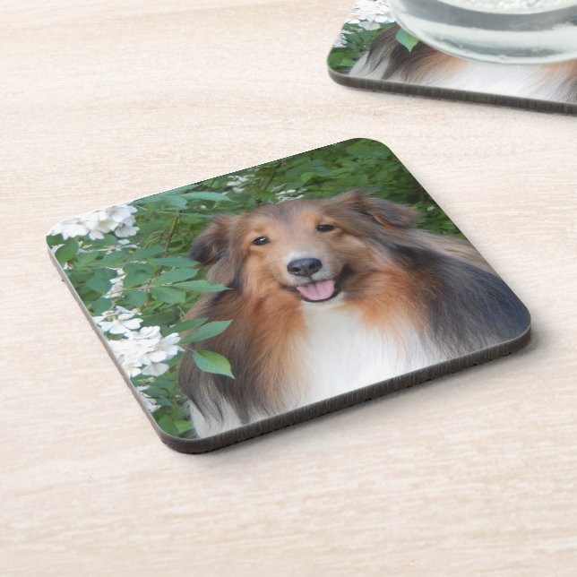Porta copos - conjunto de 6 - com Sheltie (Left Side)