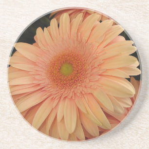 Porta copos cor-de-rosa da flor