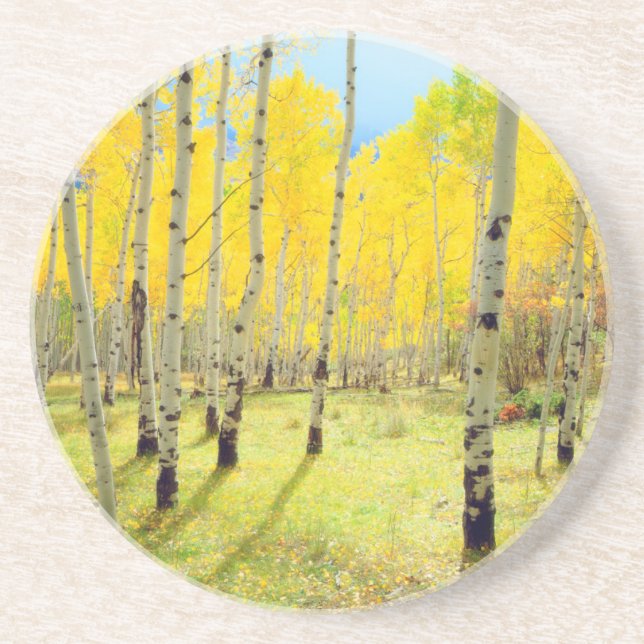 Porta-copos Cores de outono das árvores Aspen 4 (Frente)