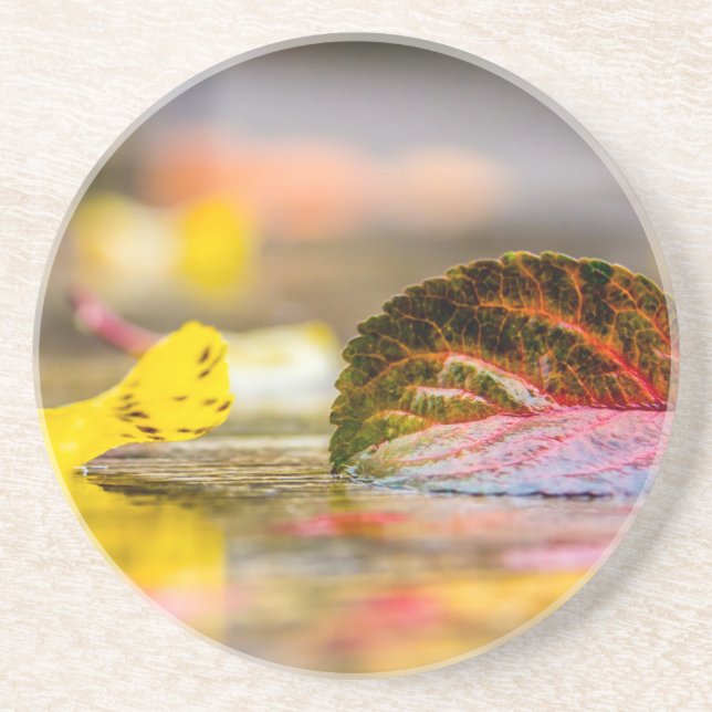 Porta-copos Cores de queda (Frente)