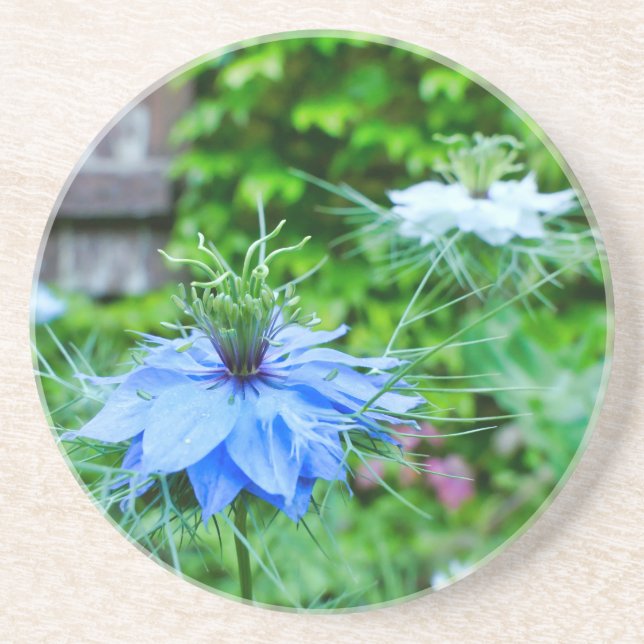 Porta-copos Cornflower (Frente)