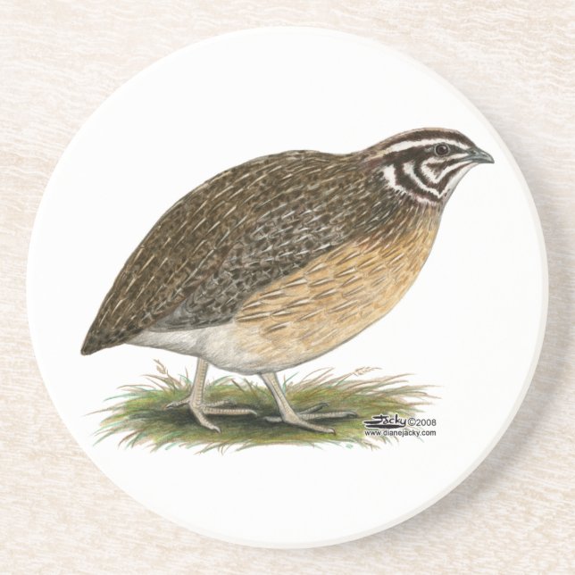Porta-copos Coturnix Pharaoh Quail (Frente)