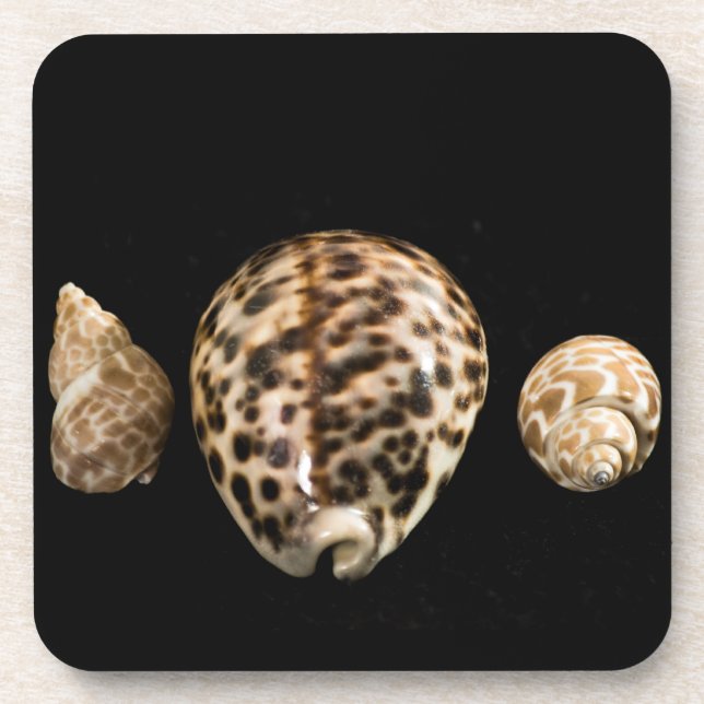 Porta copos Cowrie Cones 2 Cork (Frente)