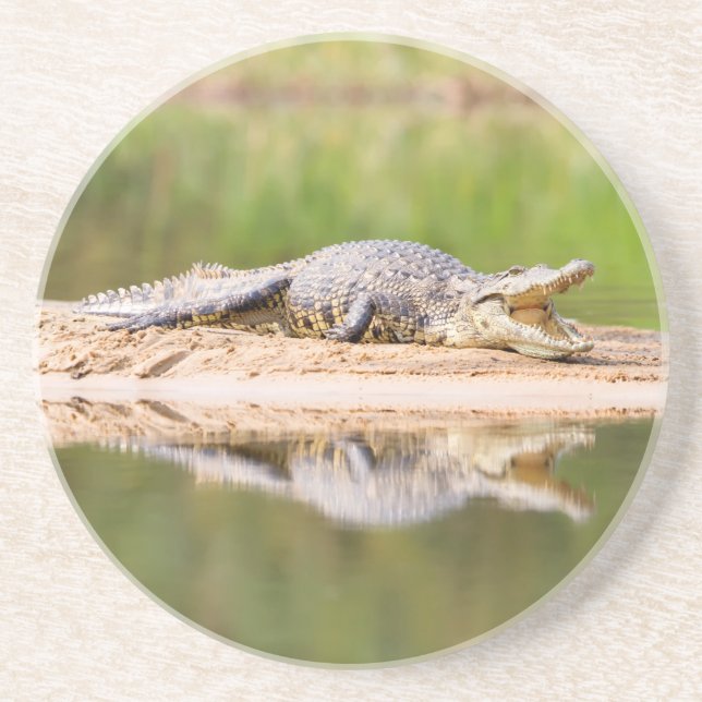 Porta-copos Crocodile (Frente)