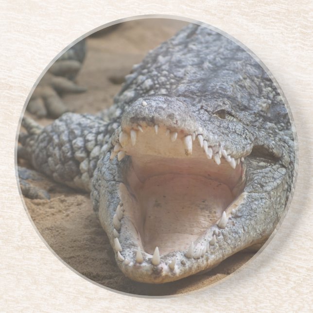 Porta-copos Crocodilo (Frente)