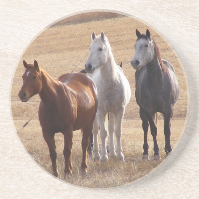 Porta-copos Curiosidade eqüino 3 (Frente)