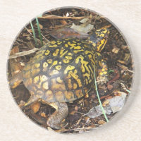 CZ portas copos da tartaruga de caixa