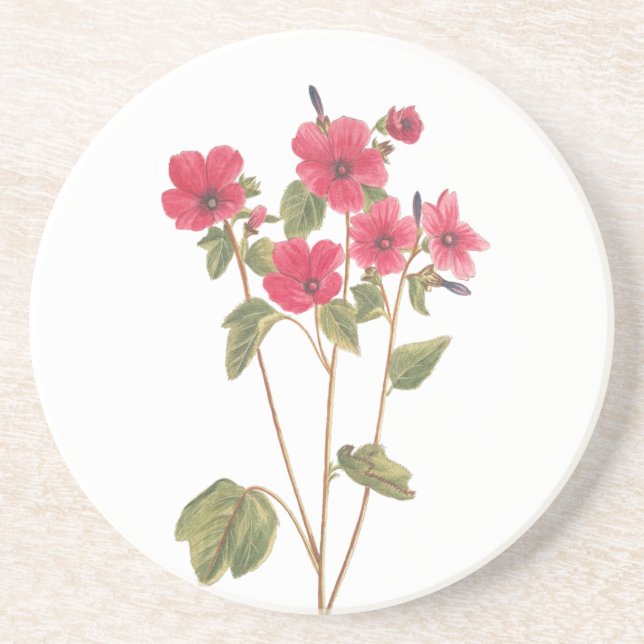 Porta copos da bebida com uma ilustração do (Frente)