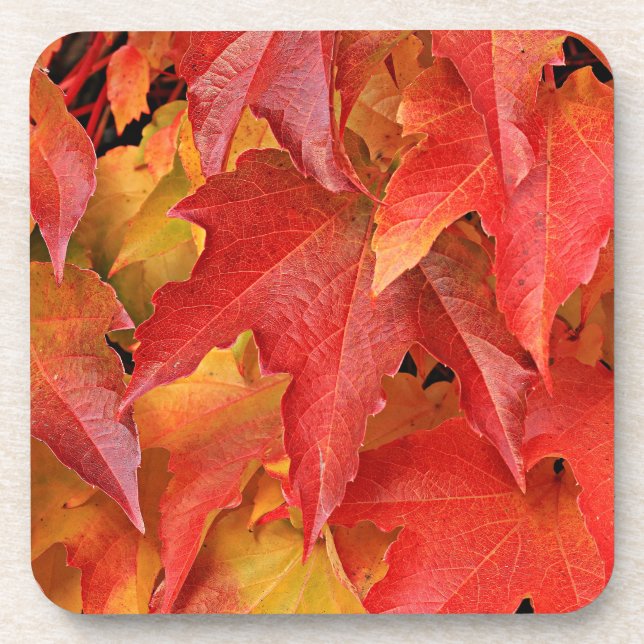 Porta copos da estação de outono (Frente)