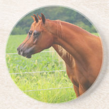 Porta copos da imagem dobro BOGO Colts