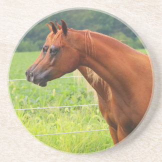 Porta copos da imagem dobro BOGO Colts