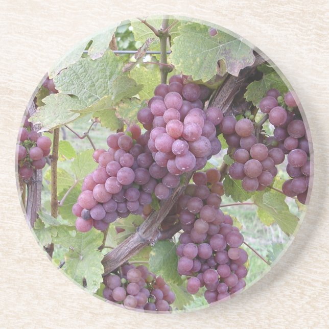 Porta copos da vinha (Frente)