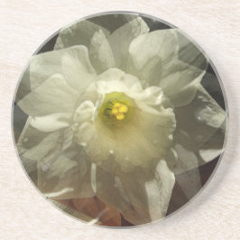 Porta-copos Daffodil Dreams