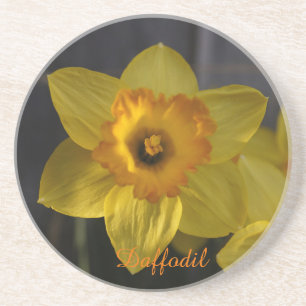 Porta-copos Daffodilo