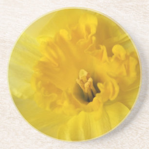 Porta-copos daffodilo amarelo