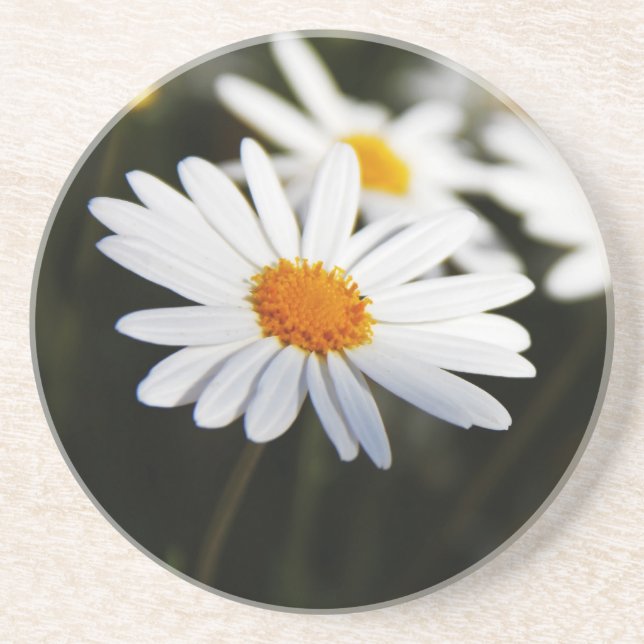 Porta-copos Daisy (Frente)