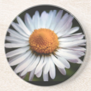 Porta copos Daisy 1
