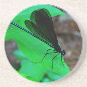 Porta-copos Damselfly azul em uma folha verde.