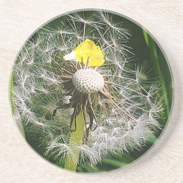 Porta-copos Dandelion (Frente)